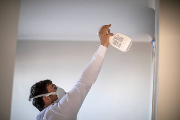 Best Best Mold Removal Companies  in Washington, NC