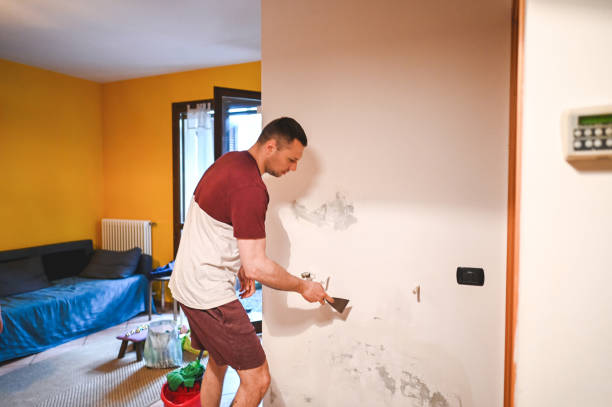 Office Mold Removal Services in Washington, NC